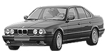 BMW E34 P2129 Fault Code